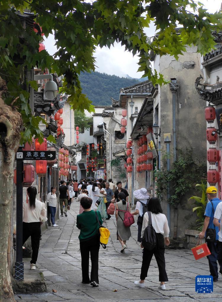 博狗备用网址